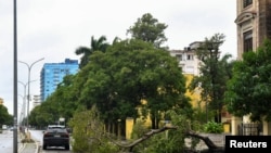 Un árbol fue derribado por los vientos del huracán Rafael y obstruye una vía de la capital cubana.