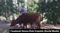 Autoridades cubanas confiscaron animales en la finca de la familia de opositores políticos
